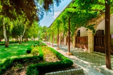 Drughba-bey-garden 