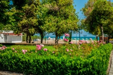 Drughba-bey-garden 