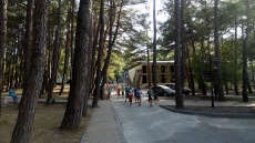 Ghemchughina-morja ���������� ���������