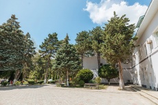 Ghemchughina-rossii 