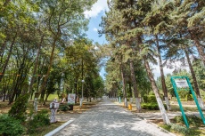 Ghemchughina-rossii 