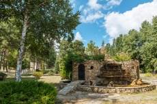 Ghemchughina-rossii 
