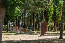 Ghemchughina-rossii 