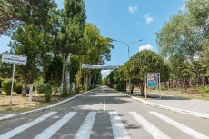 Ghemchughina-rossii 