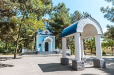 Ghemchughina-rossii 