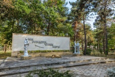 Ghemchughina-rossii 