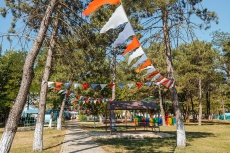 Ghemchughina-rossii 