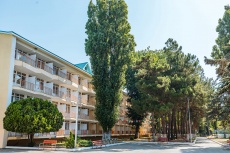 Ghemchughina-rossii 
