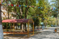 Ghemchughina-rossii 