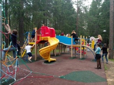 Golubaja_strela 