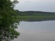 Karelsky 