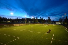 Kisakallio 