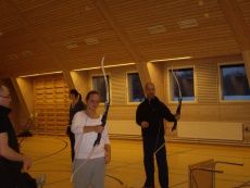 Metsis 