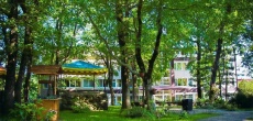 Morskaya-zvezda 