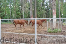 Zvezdny ������ 