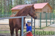 Zvezdny ������ 