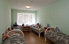 Zvezdny 