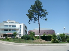 kamchia 