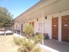 zori-anapi 