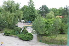 zori-anapi 